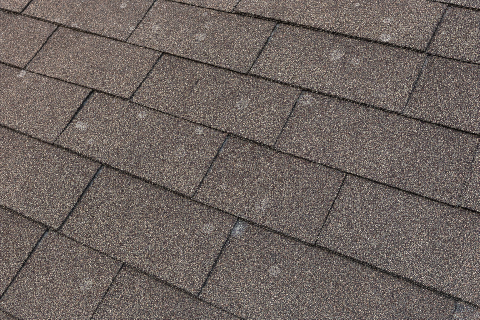 primer plano realista de tejas asfálticas arquitectónicas color weathered wood con pérdida de gránulos y marcas circulares sutiles por granizo, sin manos ni herramientas, luz nublada, textura nítida, casa de Lake County, sin texto