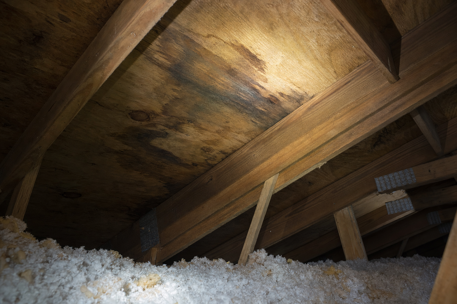 close documentary photo of water staining on roof decking inside a residential attic, soft flashlight beam, realistic insulation and rafters, careful inspection mood, no people, no text